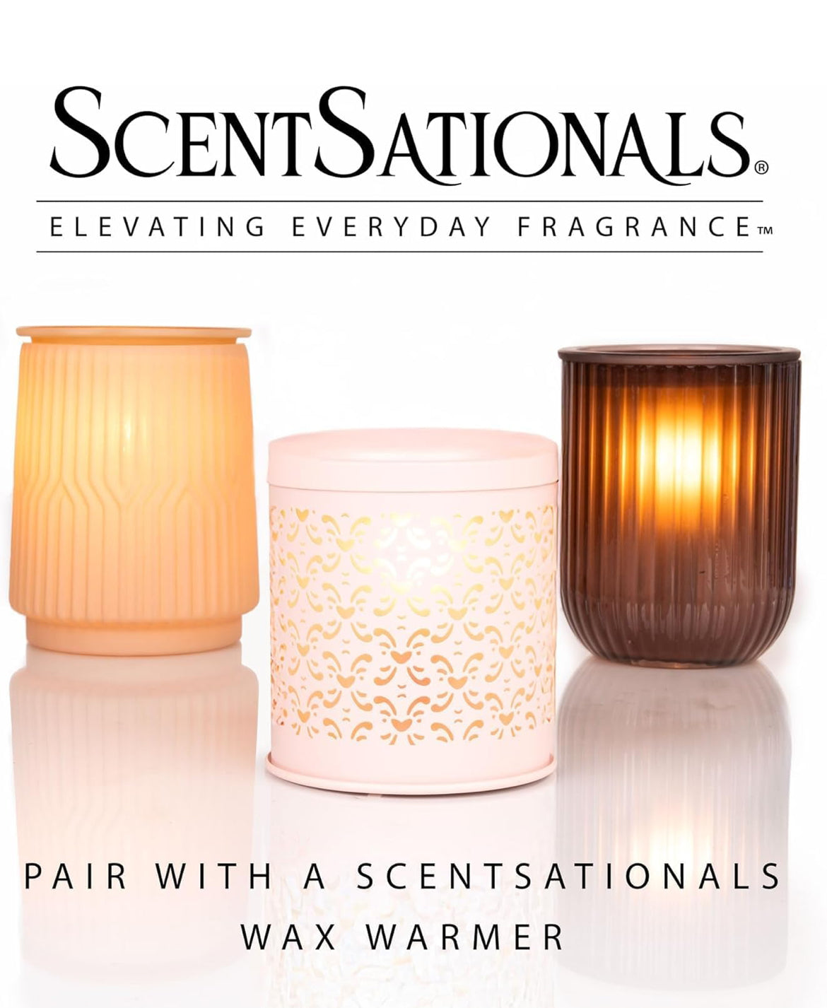 Scentsationals Wax Melts Strong Scent - (Cinnamon Apples) 10oz (24-Cubes)