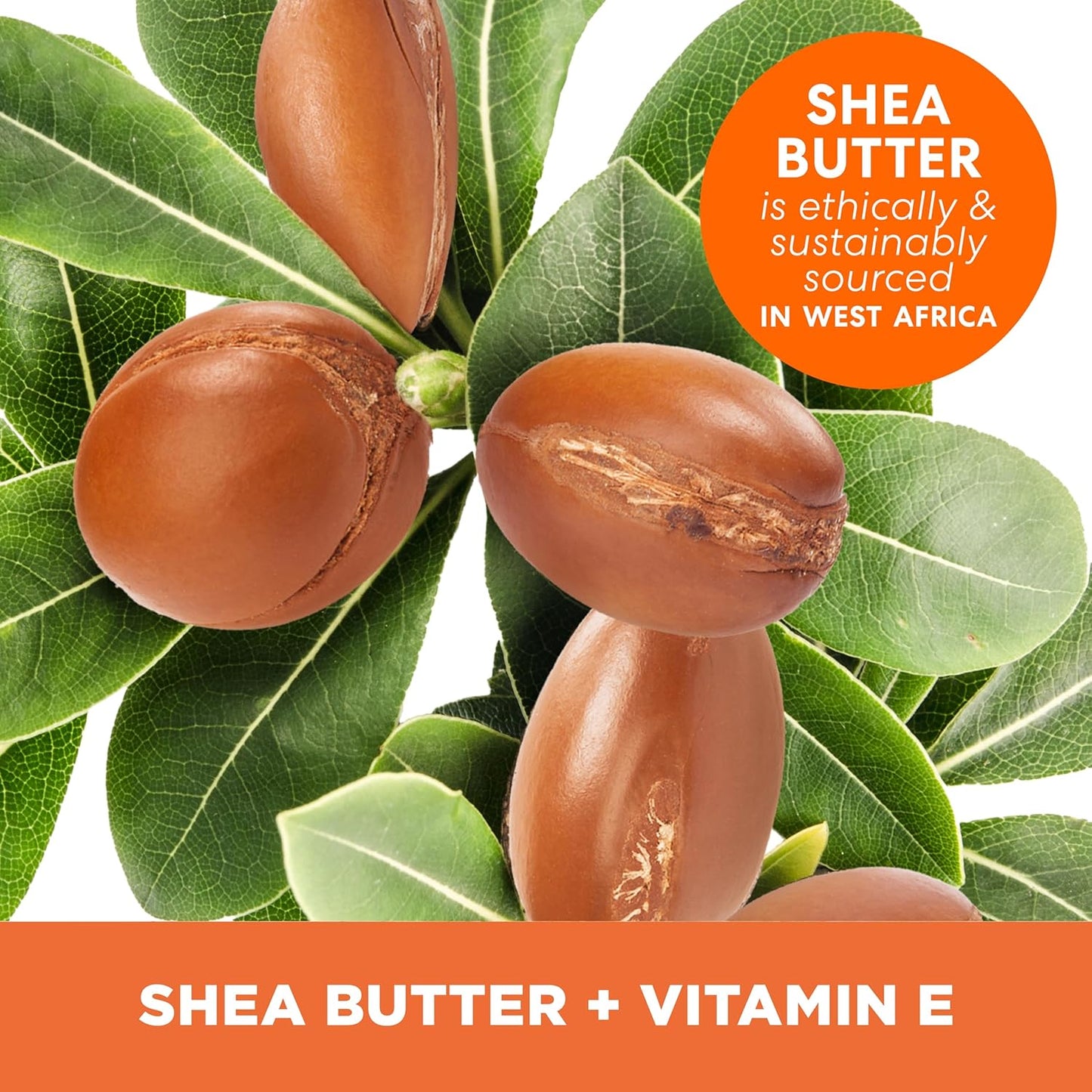Palmer's Shea Formula Raw Shea Body Lotion 48hr Moisture - Vitamin Infused to restore and revitalized, 8.5oz (Pack of 2)