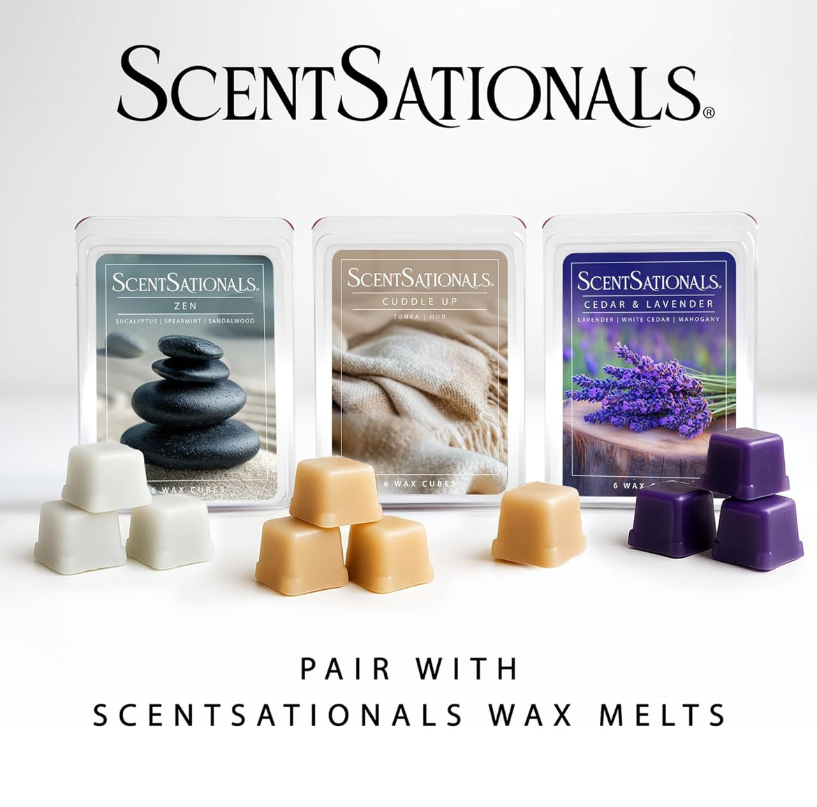 Scentsationals Wax Warmer - Tevan - Fragrance Warmer for Cubes and Tarts