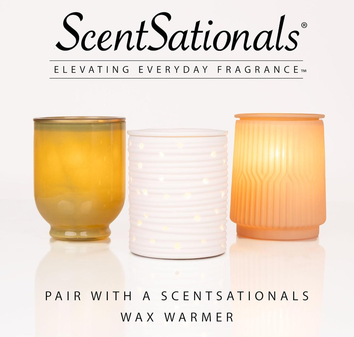 Scentsationals Wax Melts Strong Scent - Woodland Spruce - Long Lasting Scented Wax Cubes for Warmers - 10oz (PACK OF 4)