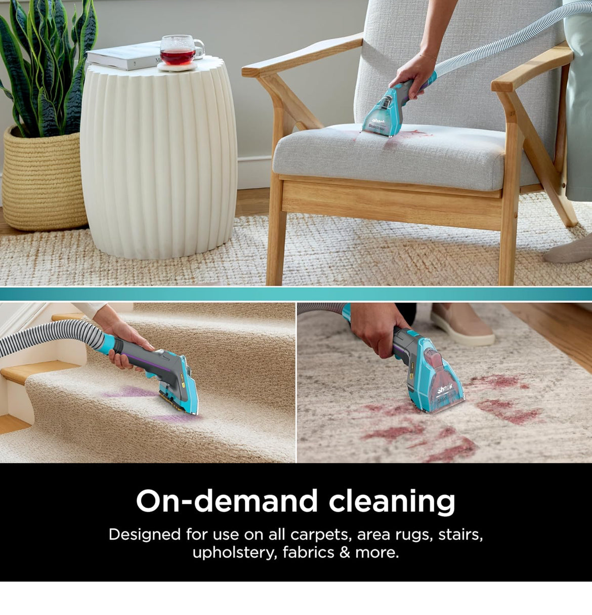 Shark CarpetXpert Deep Clean Pro Formula for All Shark Upright & Portable Carpet Cleaners - 48oz