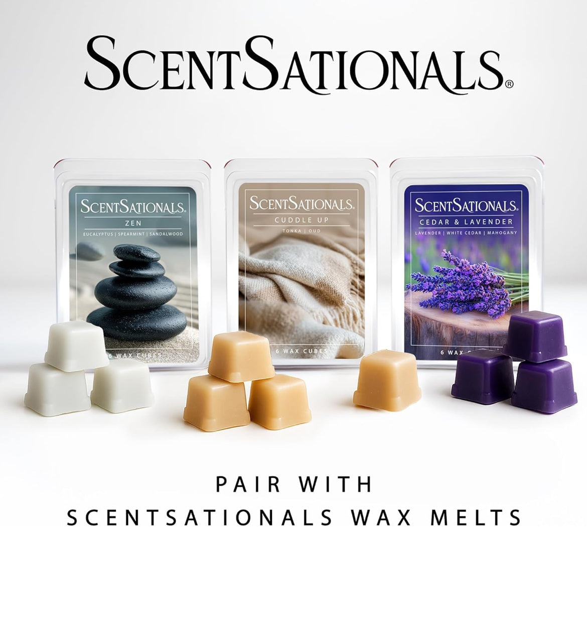 Scentsationals Modern Wax Melt Warmer - Isabelle - Contemporary Fragrance Warmer for Cubes and Tarts
