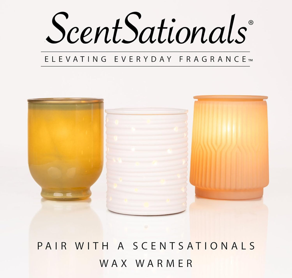 Scentsationals Wax Melts Strong Scent - Eucalyptus Snow - Long Lasting Scented Wax Cubes for Warmers - 10oz (PACK OF 4)
