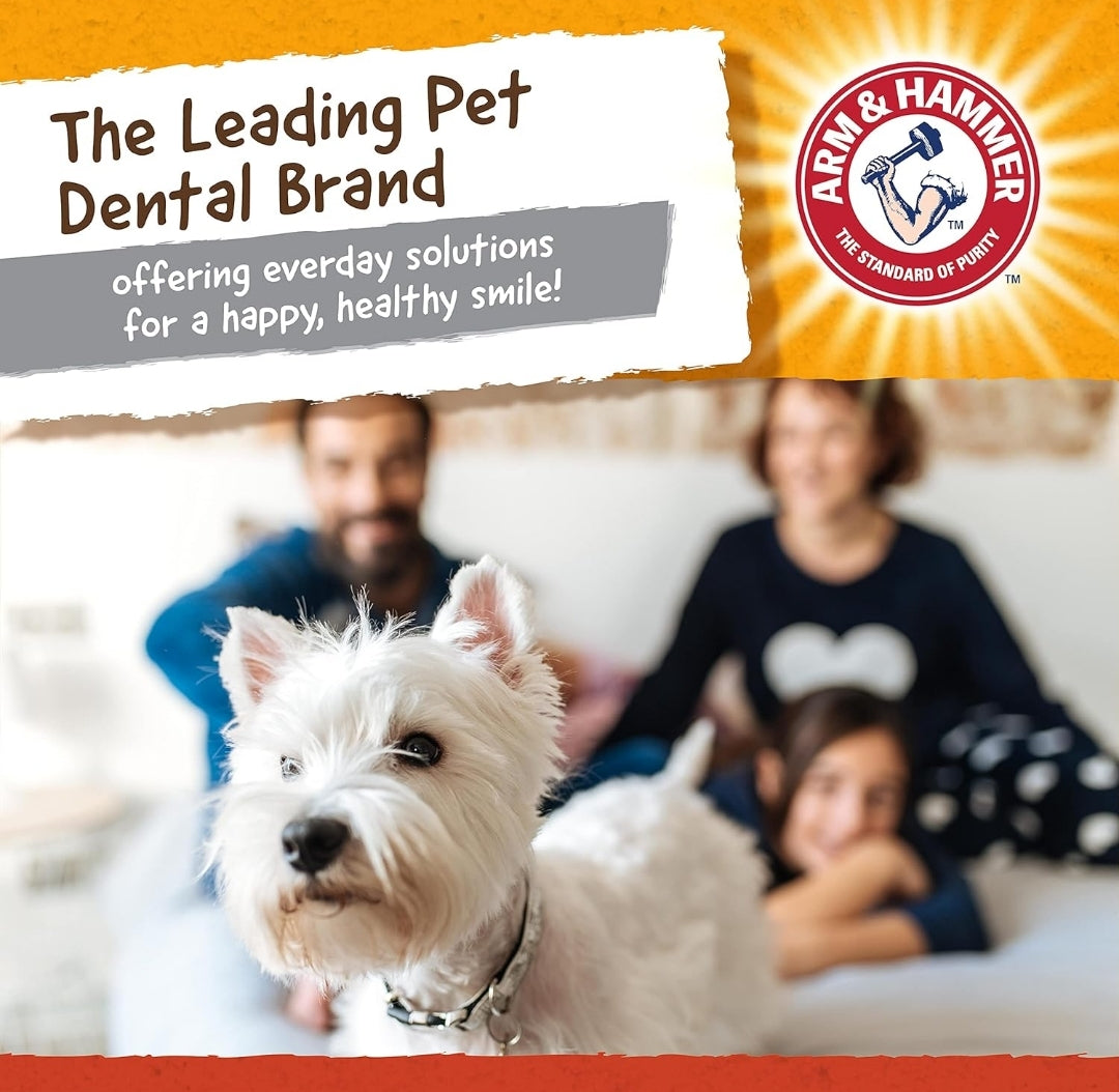 Arm & Hammer for Pets Super Treadz Mini Gorilla Dental Chew Toy for Dogs Dog Dental Chew Toys Reduce Plaque & Tartar Buildup Without Brushing for Dogs up to 25 Lbs (Pack of 24)
