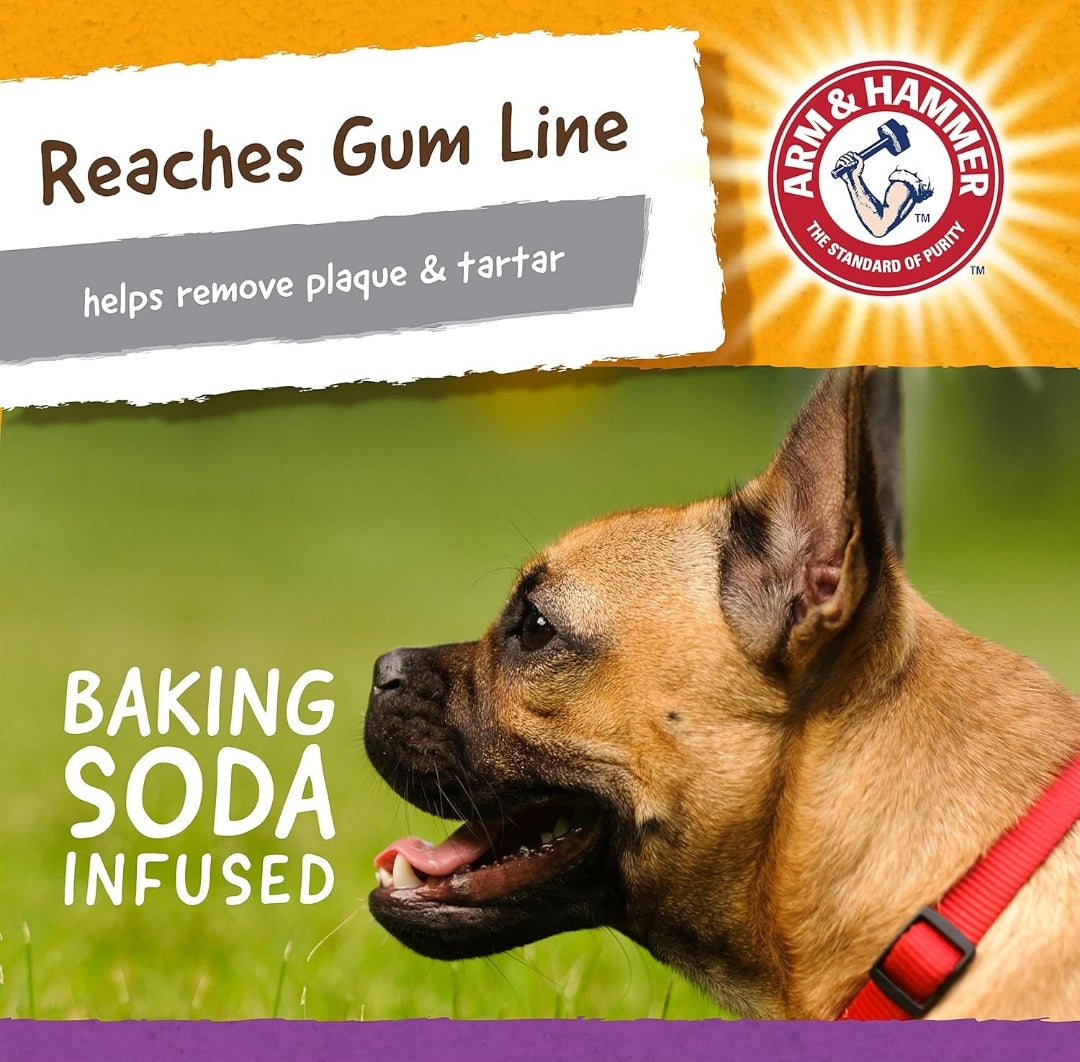 Arm & Hammer for Pets Super Treadz Mini Gator Dental Chew Toy for Dogs Best Dental Dog Chew Toy Dog Dental Chew Toys Reduce Plaque & Tartar Buildup Without Brushing (Pack of 24)