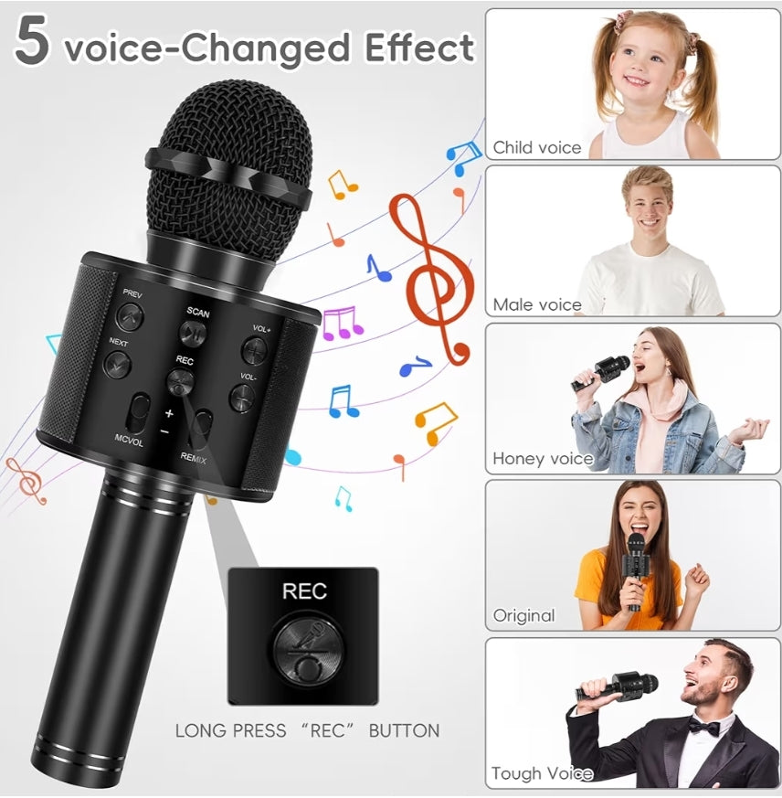 Draadlose BT 5-in-1 Draagbare Handheld Karaoke Mikrofone Luidspreker Speler Opnemer m/ Verstelbare Herskepping FM Radio - (Mat Swart)