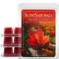 Scentsationals Wax Melts Strong Scent - Fallen Leaves - Long Lasting Scented Melts for Warmers, 10oz (Pack of 4)