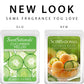 Scentsationals Wax Melts, Wax Cubes Strong Scent - Cucumber Melon - Long Lasting Scented Melts for Warmer, 10 oz (Pack of 4)