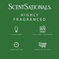 Scentsationals Wax Melts, Wax Cubes Strong Scent - Honeysuckle Pineapple - Long Lasting Scented Melts for Warmer - 10oz (PACK OF 4)