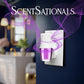 ScentSationals Magic Spell Fragrance Oil Plug In Air Freshener Refills 3-Pack - Works w/ Scentsationals Wall Plugs - Packaging May Vary