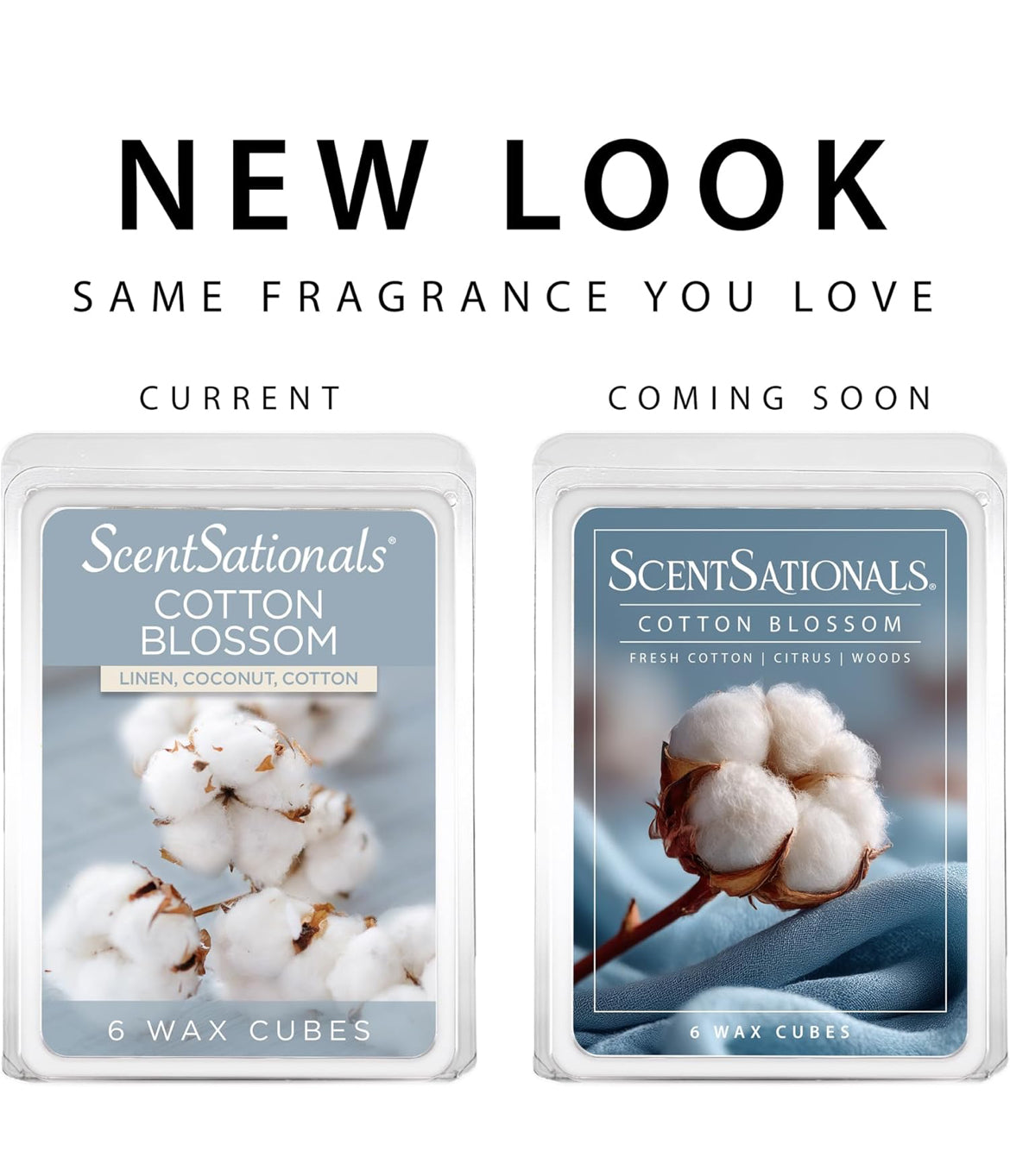 Scentsationals Wax Melts, Wax Cubes Strong Scent - Cotton Blossom - Long Lasting Scented Wax Melts for Warmer, 10oz (Pack of 4)