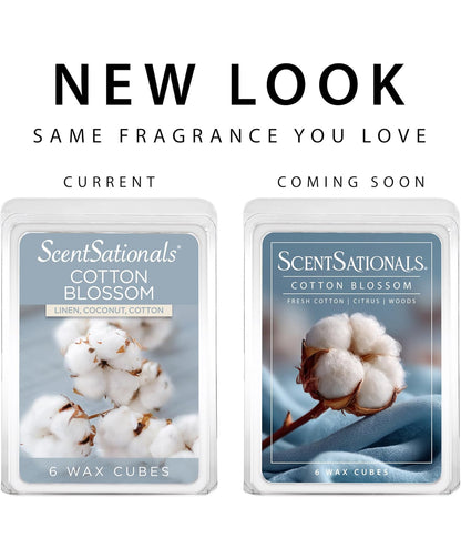 Scentsationals Wax Melts, Wax Cubes Strong Scent - Cotton Blossom - Long Lasting Scented Wax Melts for Warmer, 10oz (Pack of 4)