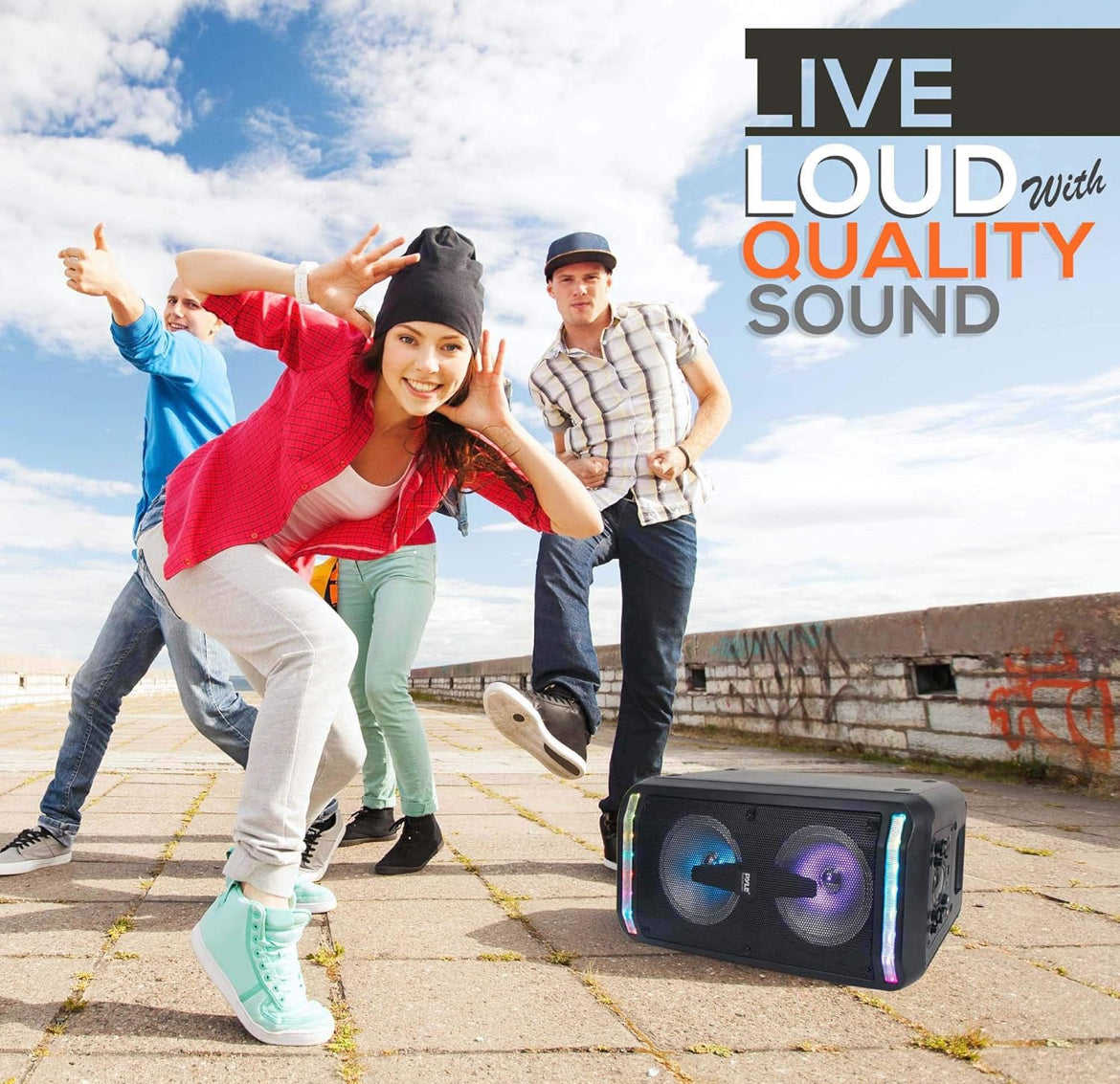 Portable Bluetooth Speaker & Karaoke Speaker System with Wired Mic, Built-in LED Party Lights, MP3/USB, FM Radio (6.5’’ Subwoofers, 500 Watt MAX)