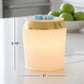 Scentsationals Modern Wax Melt Warmer - Isabelle - Contemporary Fragrance Warmer for Cubes and Tarts