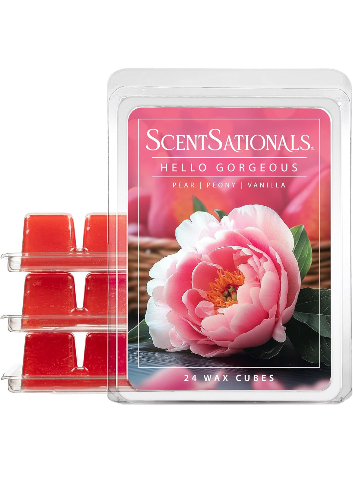 Scentsationals Wax Melts, Wax Cubes Strong Scent - Fine Fragrance Collection 2 Hello Gorgeous - 10oz (PACK OF 4)