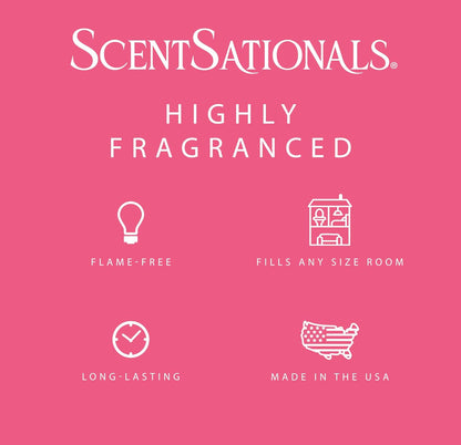 Scentsationals Wax Melts, Wax Cubes Strong Scent - Fine Fragrance Collection 2 Hello Gorgeous - 10oz (PACK OF 4)