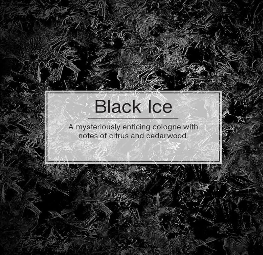 LITTLE TREES Motorvoertuig-lugverfrisser Langdurige Geur - Black Ice, 24 eenhede
