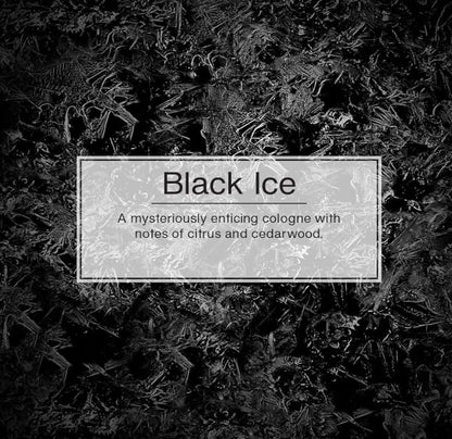 LITTLE TREES Motorvoertuig-lugverfrisser Langdurige Geur - Black Ice, 24 eenhede