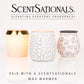 Scentsationals Wax Melts, Wax Cubes Strong Scent – Getaway Collection Desert Rose – Long Lasting Scented Melts for Warmer - 10oz (Pack of 4)