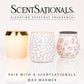 Scentsationals Wax Melts, Wax Cubes Strong Scent - Molten Orange - Long Lasting Scented Melts for Warmer, 10oz (Pack of 4)