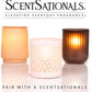 Scentsationals Wax Melts - Perfectly Pine Scented Fragrance - 10oz (24-Cubes)