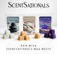 Scentsationals Modern Wax Melt Warmer, for Scented Wax Melts - Cera - Contemporary Fragrance Warmer for Cubes and Tarts