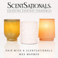 Scentsationals Wax Melts, Wax Cubes Strong Scent - Bakery Collection 2 Dreamsicle Cream - Long Lasting Scented Wax - 10oz (Pack of 4)