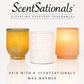 Scentsationals Wax Melts Strong Scent - Sugared Cranberries - Long Lasting Scented Melts for Warmers - 10oz (PACK OF 4)