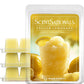 Scentsationals Wax Melts, Wax Cubes Strong Scent - Frozen Lemonade - Long Lasting Scented Wax Melts for Warmer - 10oz (Pack of 4)