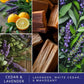 Scentsationals Wax Melts, Wax Cubes Strong Scent - Cedar and Lavender - 10oz (24-Cubes)