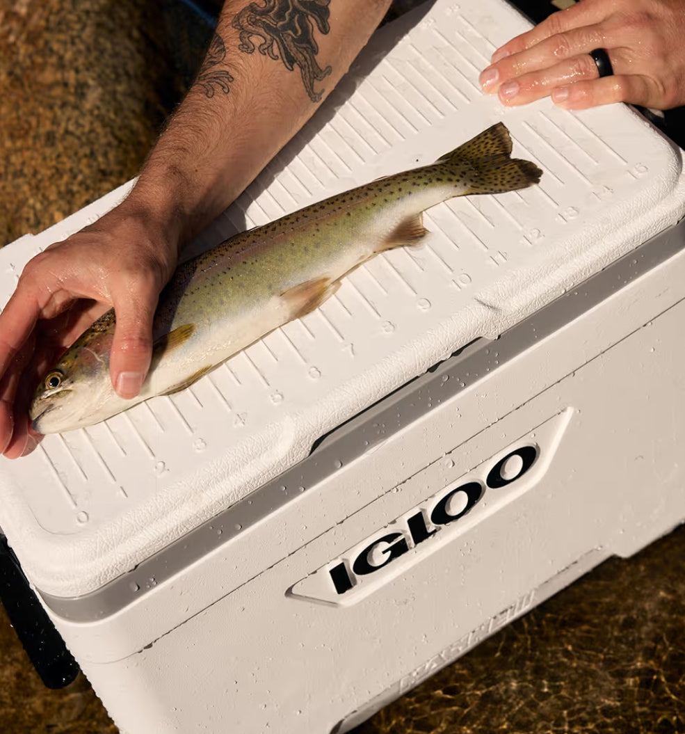 Igloo Marine Cooler | Insulated Hard Shell Ice Chest |Great for Fishing, Camping, Boating, & More