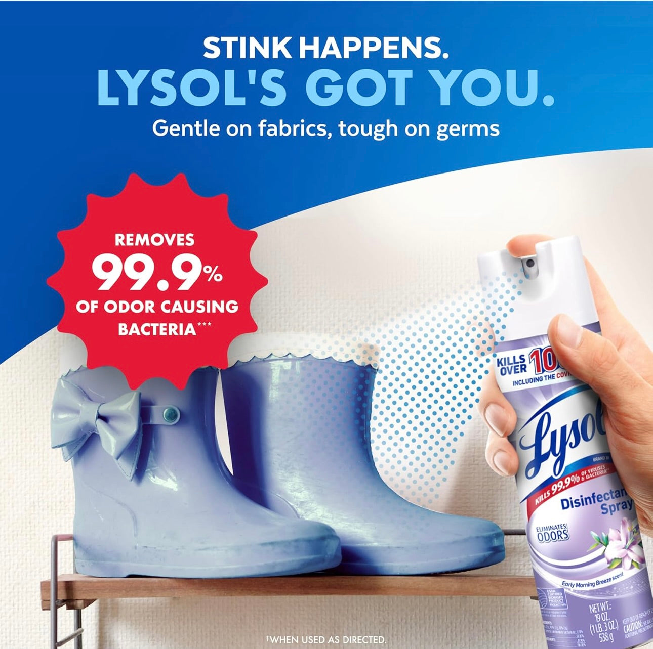 Lysol Ontsmettingssproei, Saniterende en Antibakteriese Sproei, Vir Ontsmetting en Ontgeuring, Vroeë Oggendbries, 19 Fl Oz (Pak van 2), Verpakking Kan Verskil