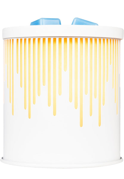 Scentsationals Modern Wax Melt Warmer, for Scented Wax Melts - Modern Roe - Contemporary Fragrance Warmer for Cubes and Tarts
