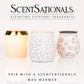 Scentsationals Wax Melts Strong Scent - No Place Like Home - Long Lasting Scented Melts for Warmers -10oz (PACK OF 4)