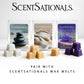 Scentsationals Wax Warmer, for Scented Wax Melts- Vee - Fragrance Warmer for Cubes and Tarts