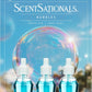 ScentSationals Bubbles Fragrance Oil Plug In Air Freshener Refills 3-Pack - Works w/ Scentsationals Wall Plugs - Packaging May Vary