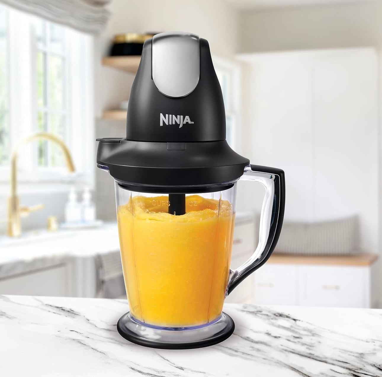 Ninja QB1004 Blender/Food Processor with 450-Watt Base, 48oz Pitcher, 16oz Chopper Bowl, and 40oz Processor Bowl - Black
