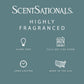Scentsationals Wax Melts Strong Scent - Eucalyptus Snow - Long Lasting Scented Wax Cubes for Warmers - 10oz (PACK OF 4)