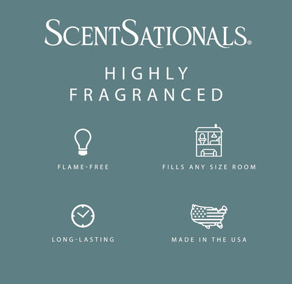 Scentsationals Wax Melts Strong Scent - Eucalyptus Snow - Long Lasting Scented Wax Cubes for Warmers - 10oz (PACK OF 4)