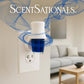 ScentSationals Illusion Fragrance Oil Plug In Air Freshener Refills 3-Pack - Works w/ Scentsationals Wall Plugs - Packaging May Vary