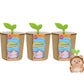 Sakuties Mini Collectible Stylized Plush Stuffed Animals, 3-pack Blind Collectible, Kids Toys for Ages 3 Up by Just Play