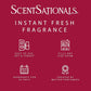 ScentSationals Sparkling Raspberry Sorbet Fragrance Oil Plug In Air Freshener Refills 3-Pack - Works w/ Scentsationals Wall Plugs - Packaging May Vary