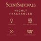 Scentsationals Christmas Wax Melts Long Lasting, Strong Scent - Eucalyptus Snow, Frosted Cranberry, No Place Like Home, & Whipped Peppermint Cream - 10oz