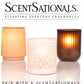 Scentsationals Wax Melts Strong Scent - Pumpkin Apple Muffins - Long Lasting Scented Melts for Warmers, 10oz (Pack of 4)