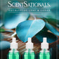 ScentSationals Eucalyptus Leaf & Cedar Fragrance Oil Plug In Air Freshener Refills 3-Pack - Works w/ Scentsationals Wall Plugs - Packaging May Vary