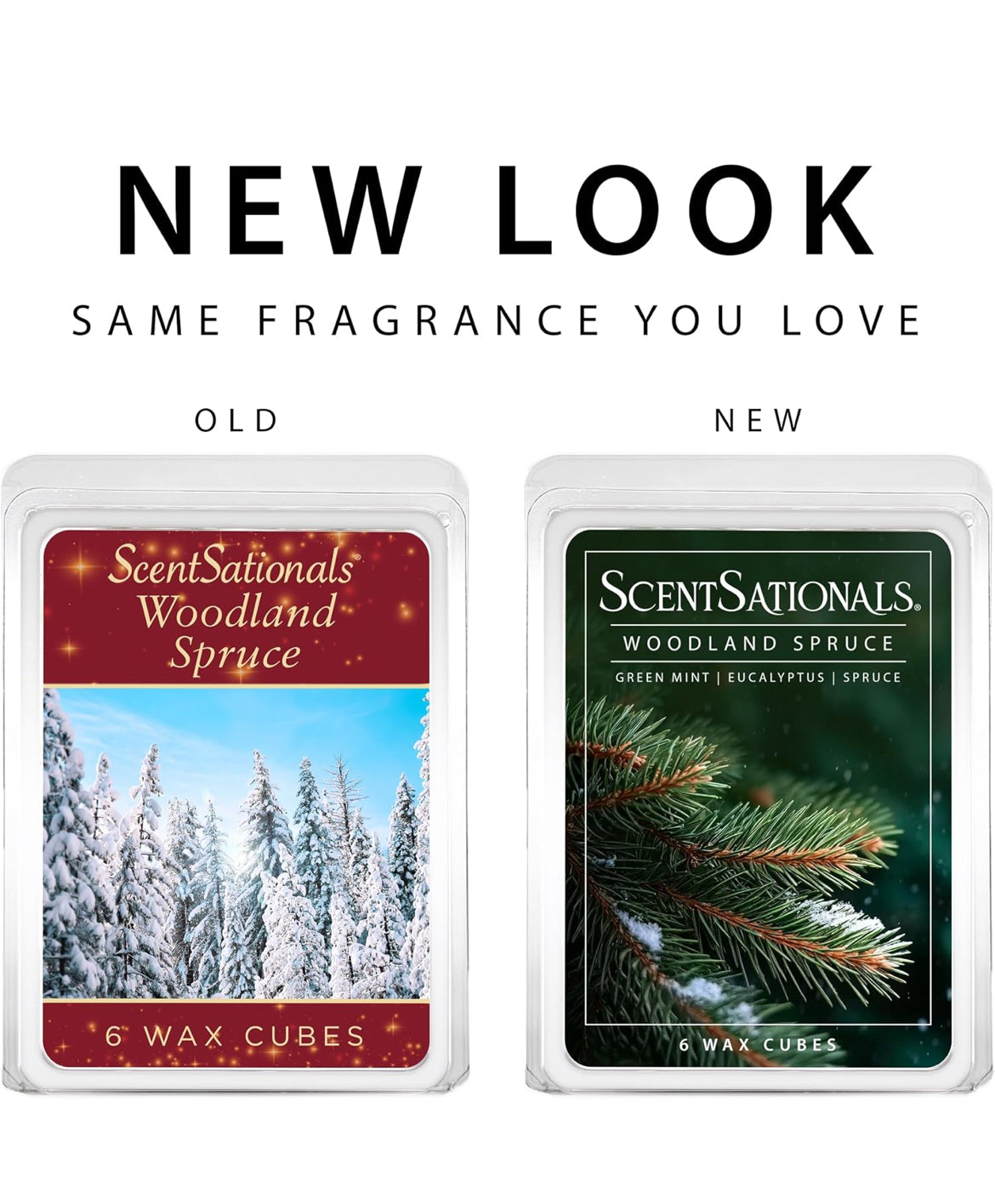 Scentsationals Wax Melts Strong Scent - Woodland Spruce - Long Lasting Scented Wax Cubes for Warmers - 10oz (PACK OF 4)