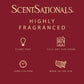 Scentsationals Christmas Wax Melts Cubes Long Lasting, Strong Scent - 10oz (Pack of 4)