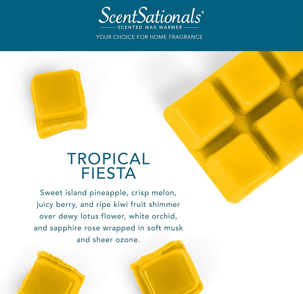 Scentsationals Wax Melts, Wax Cubes Strong Scent - Tropical Fiesta - Long Lasting Scented Melts for Warmer - 10oz (PACK OF 4)