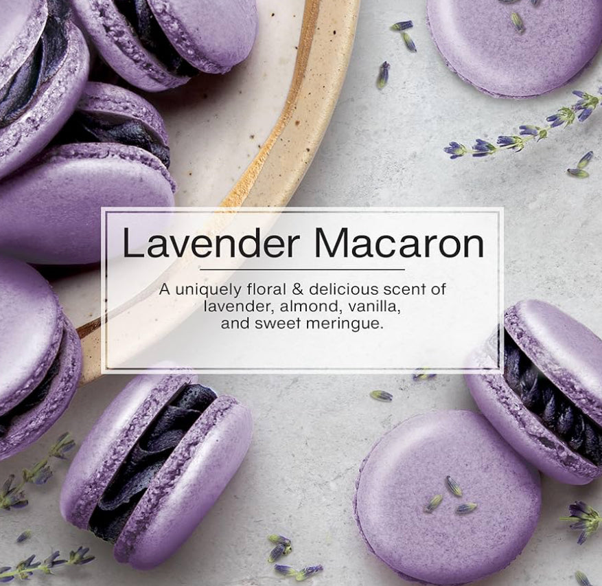 LITTLE TREES Car Air Freshener Hanging Tree Long Lasting Scent- Lavender Macaron (24)