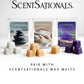 Scentsationals Modern Wax Melt Warmer, for Scented Wax Melts - Modern Roe - Contemporary Fragrance Warmer for Cubes and Tarts